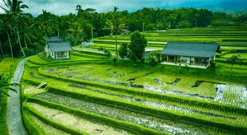 KUBU D'UME HOMESTAY - Image 1