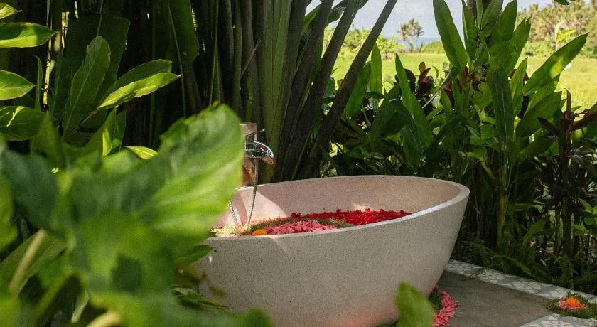 Coconut Corner Boutique Hotel - Image 1
