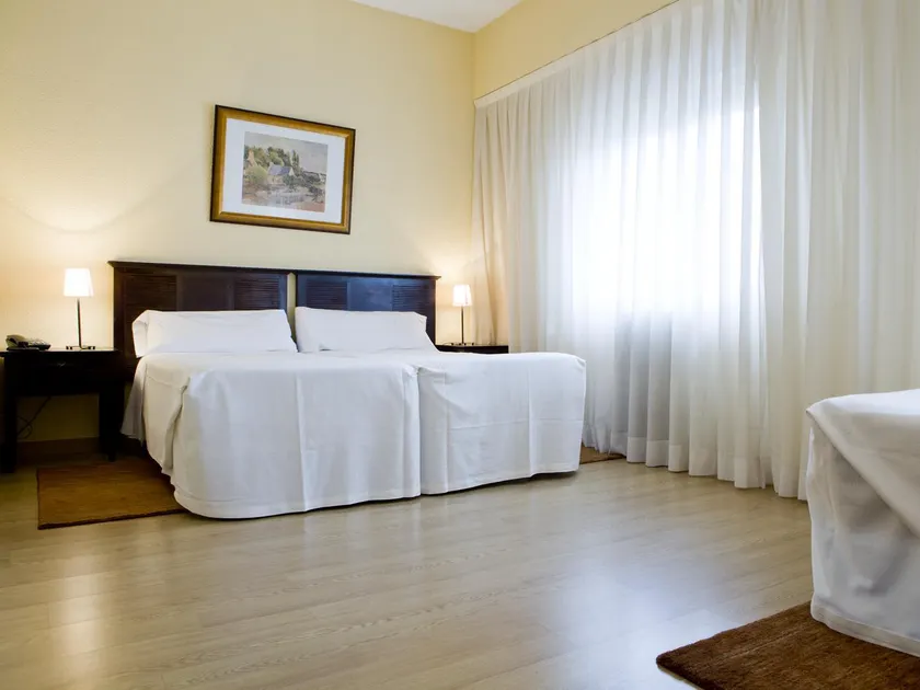 BYPILLOW Velázquez 45 - Image 1