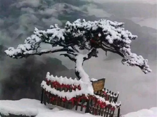 Huashu Inn - Image 1