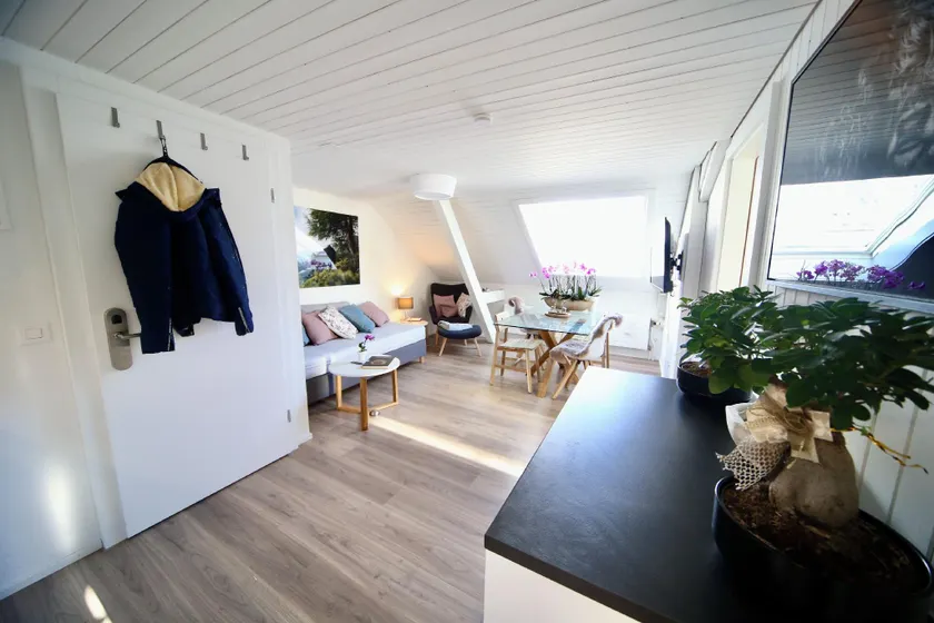 ALP APARTMENTS centre location with traditional design and self check-in - Image 1