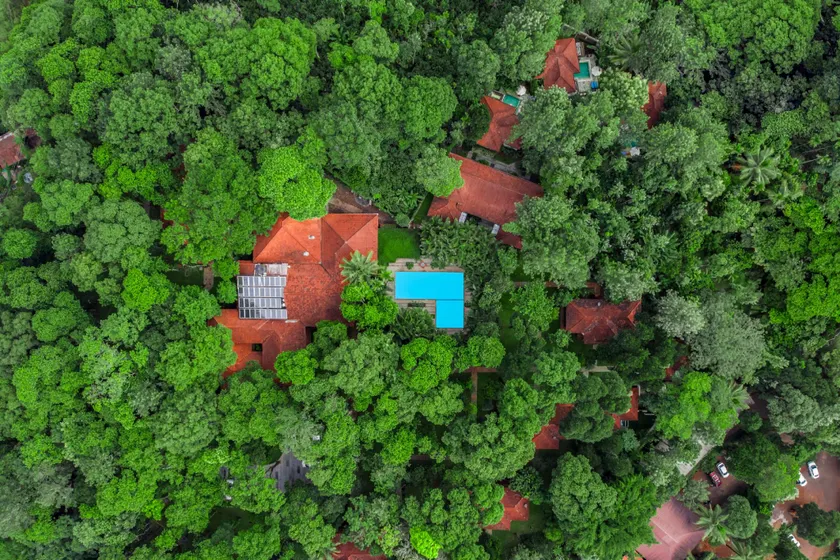 Greenwoods Thekkady - A Five Star Classified Resort - Image 1