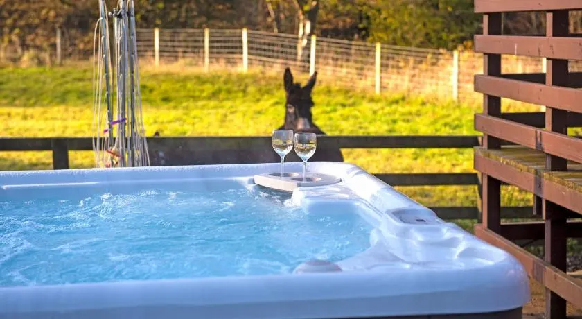 Glen Bay - 2 Bed Lodge on Friendly Farm Stay with Private Hot Tub - Image 1