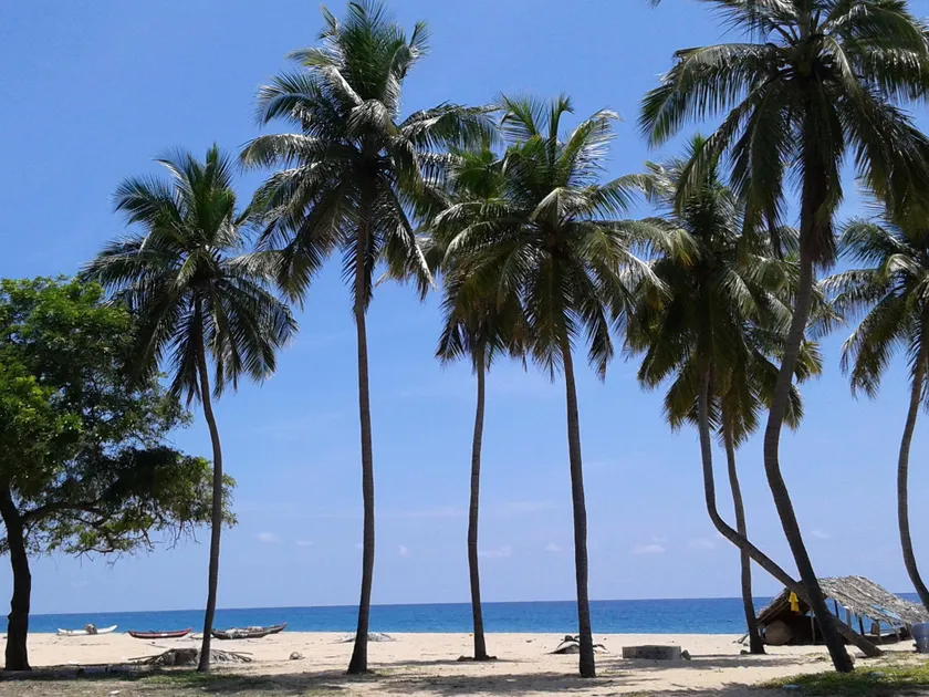 Naaval Beach Villa & Rooms - Image 1