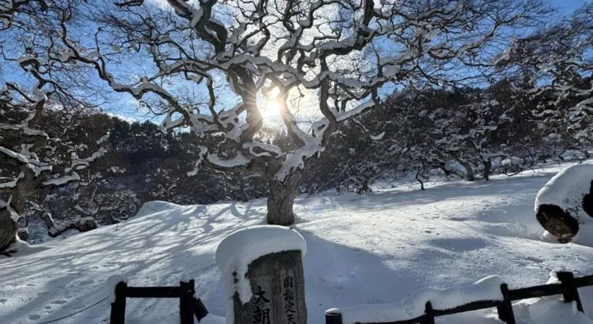 Blue Art Satoyama Retreat - Image 1