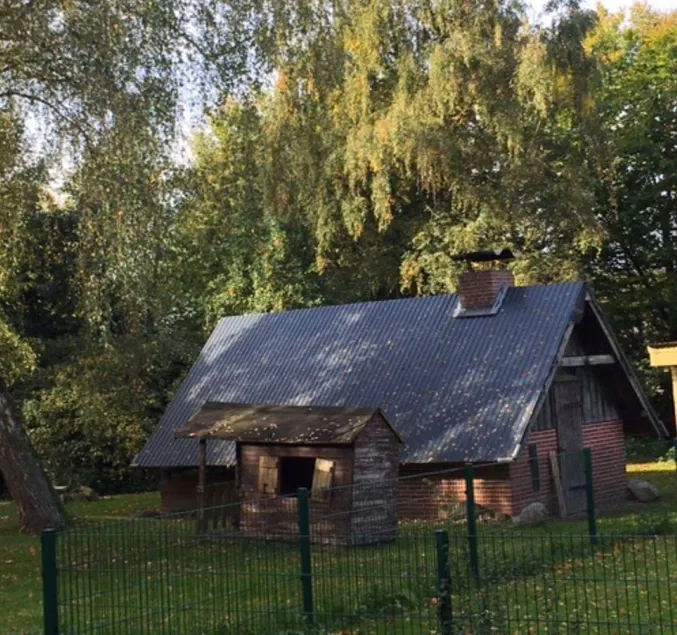 Mühlenweg- Tante Lise - Image 1