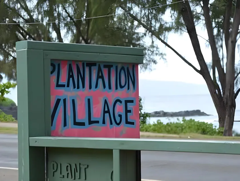 Backpackers Vacation Inn and Plantation Village - Image 1
