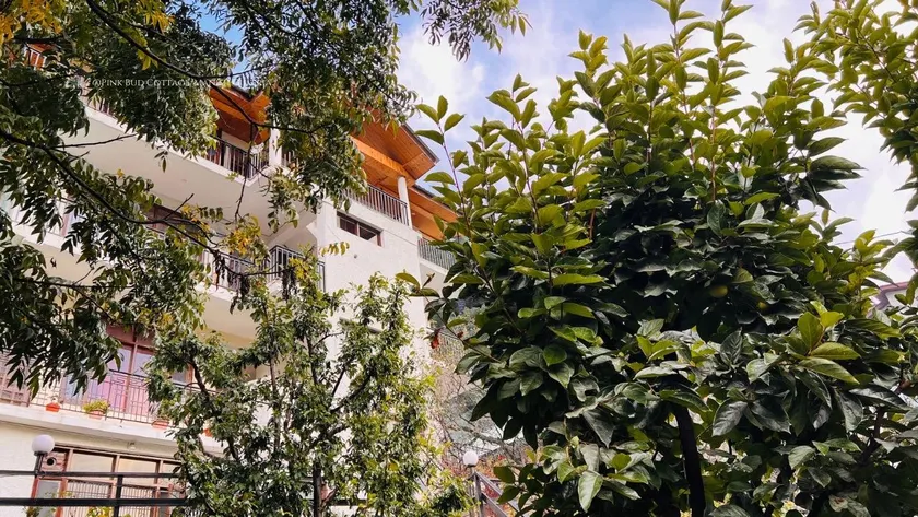 Pink Bud Cottage Manali - Nested In Nature's Lap - Image 1