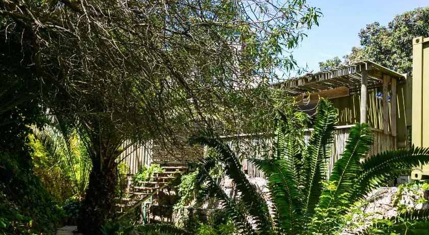 Camps Bay Forest Pods - Image 1