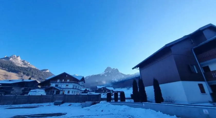 Cœur des neiges - Image 1