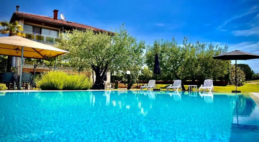 Pansion Margerita - Image 1