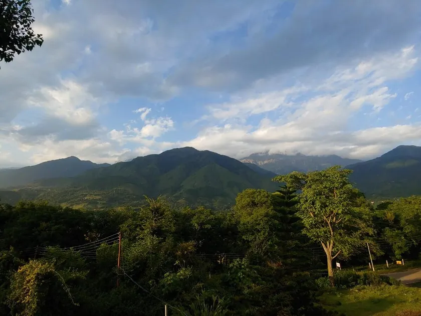 Paradise Homestay - Image 1