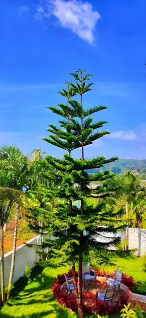 Cloud9Villa Yelagiri - Image 1