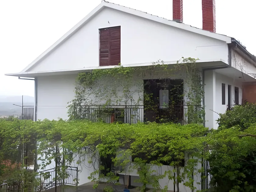 Apartments Jelka - Image 1