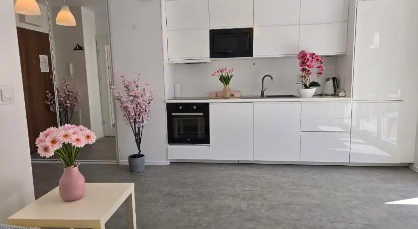 Apartament C10 z ogródkiem free PARKING - Image 1