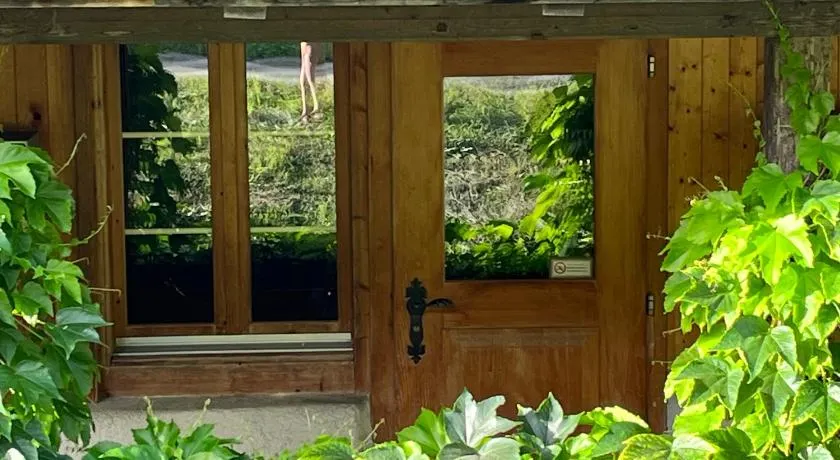 Chalet ALPEN LOTUS - Image 1