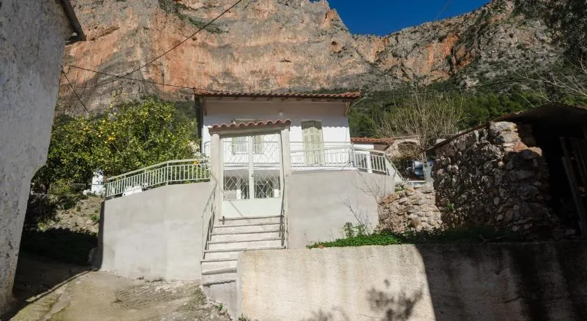 Ev Zin Basilicum - Image 1