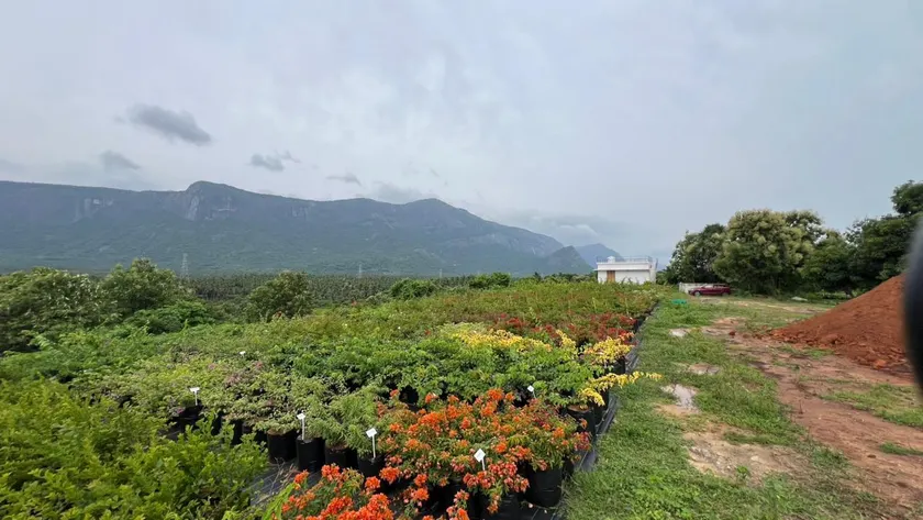 Bougain Villa Hilltreat - Image 1