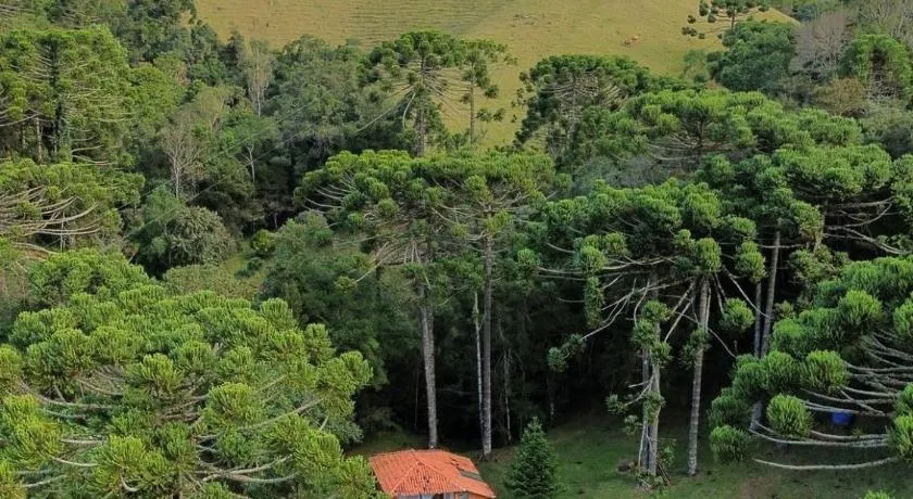 CABANA SERRA DA BALANÇA - Image 1