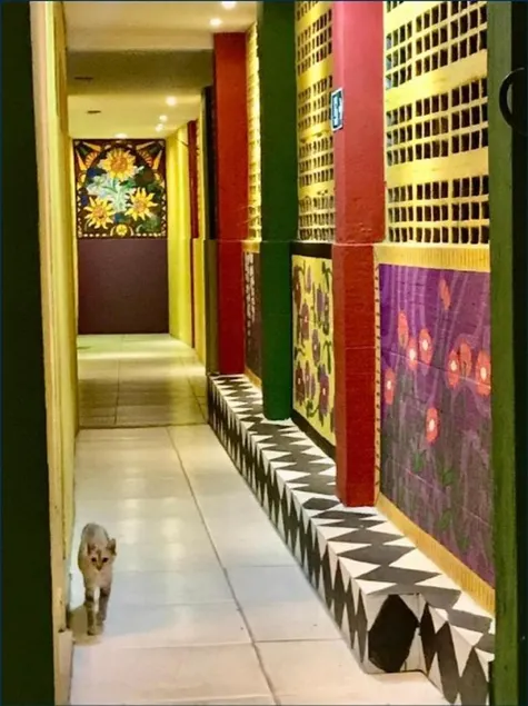 Hostel do Rasta - Image 1