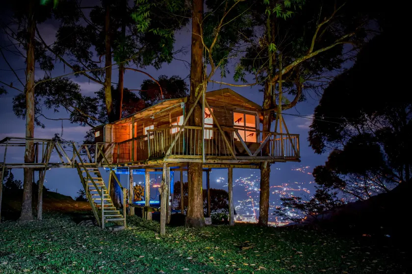 Reserva Tororoi - Image 1