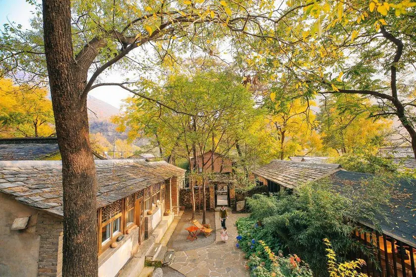 Laolaojia - Image 1