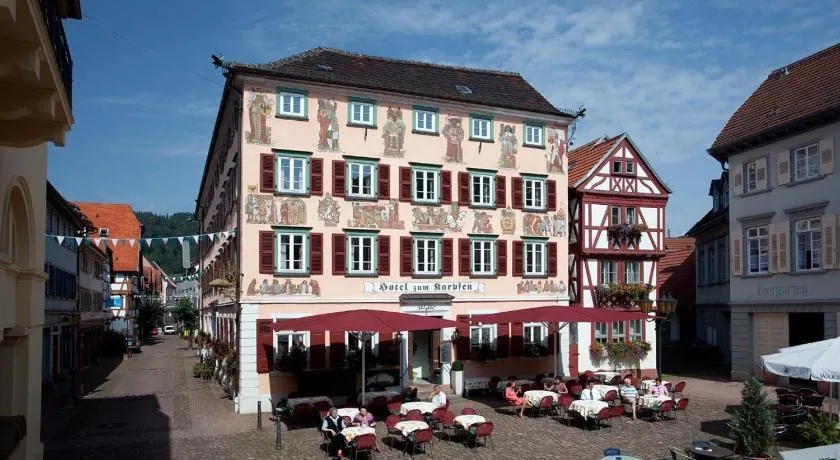 Hotel Karpfen - Image 1