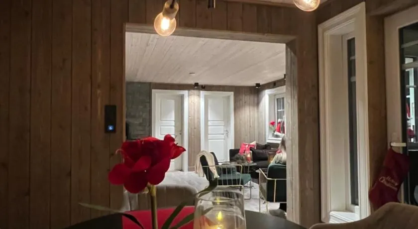 Villa Solsiden Geilo - Image 1