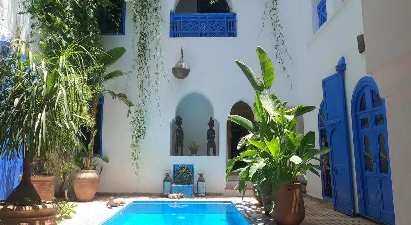Riad Chameleon - Image 1
