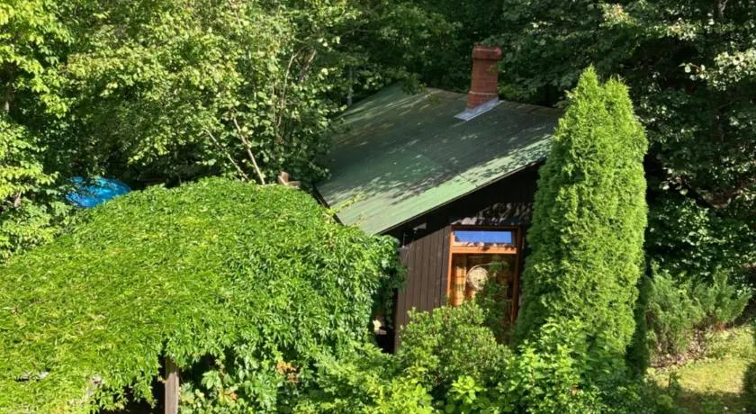 PIE OPĪŠA - Image 1