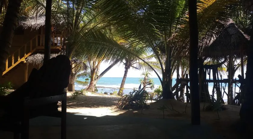 The Alpha Monkey hotel & Tree house - Image 1