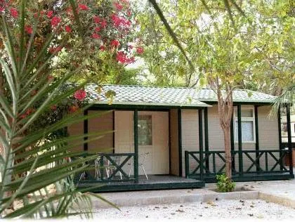 Camping Las Palmeras - Image 1