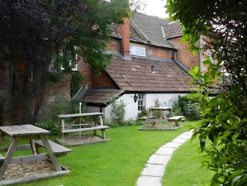 The Old Ham Tree - Image 1