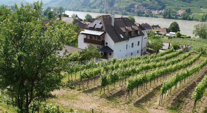 Weingut & Gästezimmer Pammer - Image 1