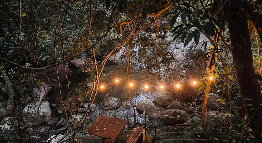 Forest Escape by Galarawa Lodge - Image 1