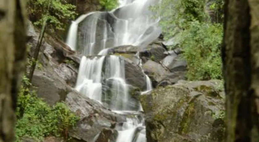 Rincón del Valle del Jerte - Image 1
