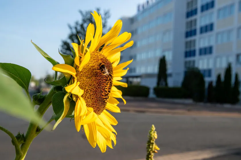 BeeVillage Messehotel Hannover Laatzen - Image 1