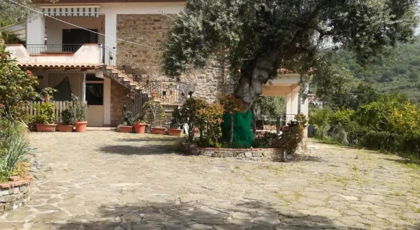 IL CONTE DI MARRAONE - Image 1