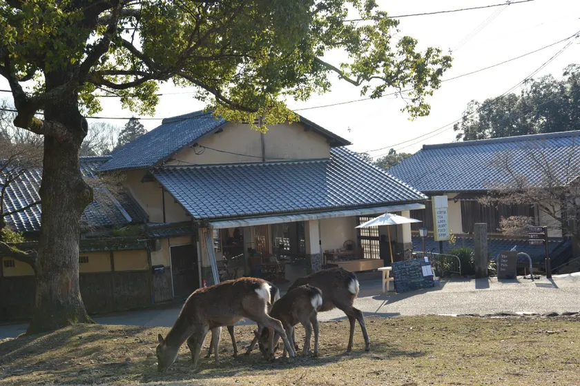 The Deer Park Inn - Image 1