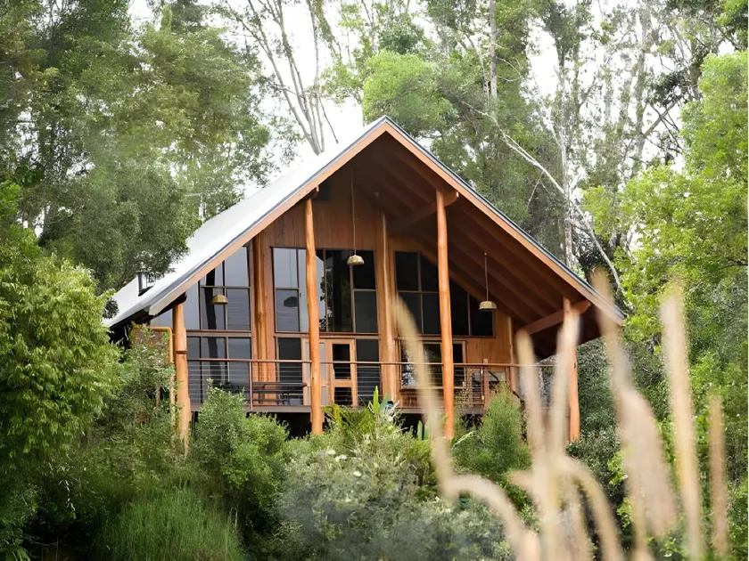 The Canopy Rainforest Treehouses & Wildlife Sanctuary - Image 1