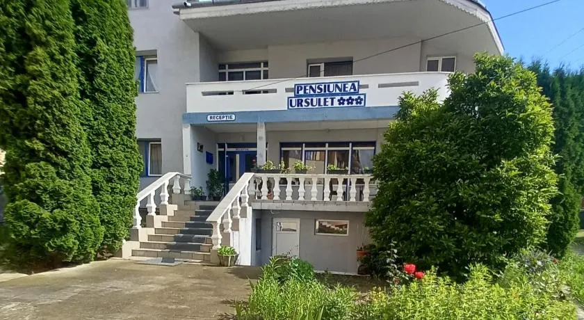 Pensiunea Ursulet - Image 1