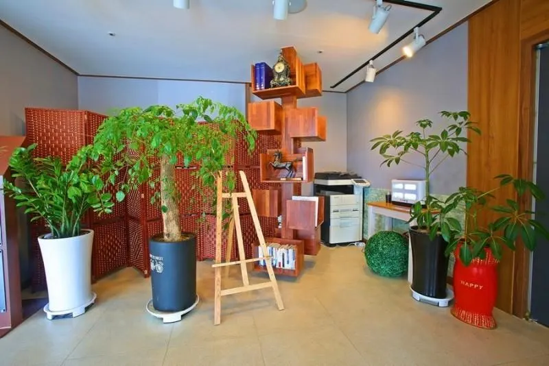 Casa Devivaldi Hotel Seogwipo - Image 1