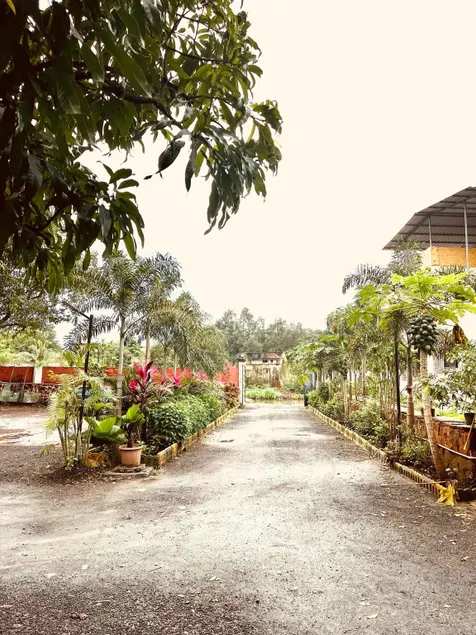 Peacefull property for familyfriend and corporate - Image 1