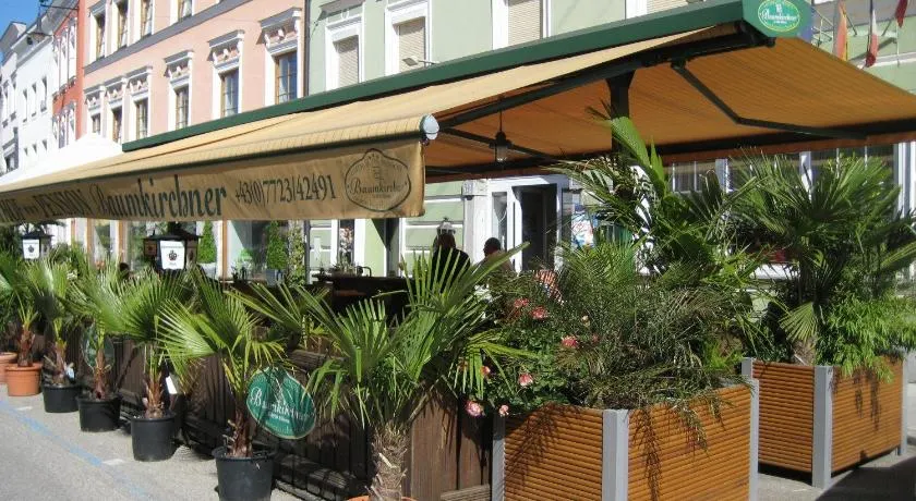 Gasthof Pension Baumkirchner - Image 1