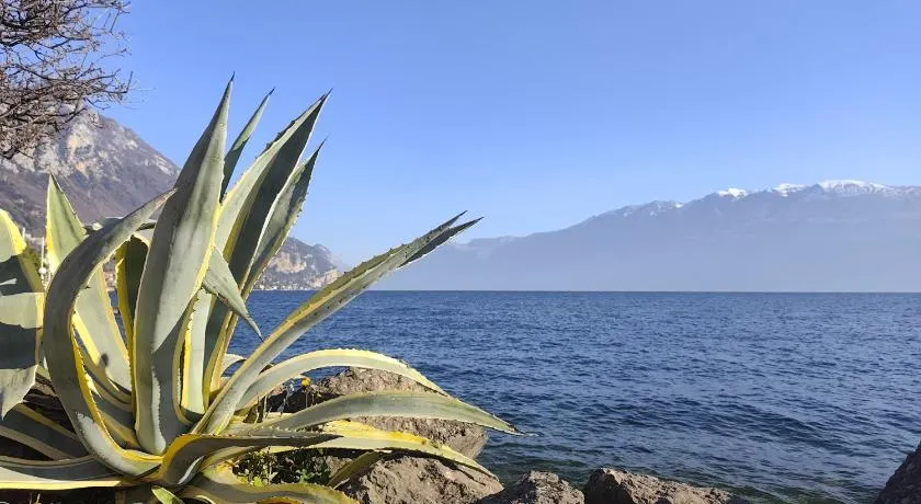 Appartamenti del Porto - Bogliaco Lago di Garda - Image 1
