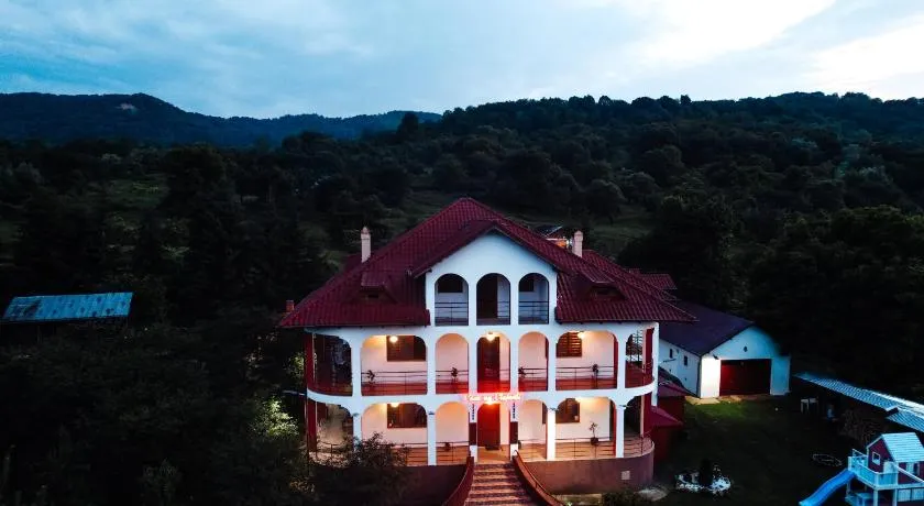 Casa cu Elefanți - Image 1