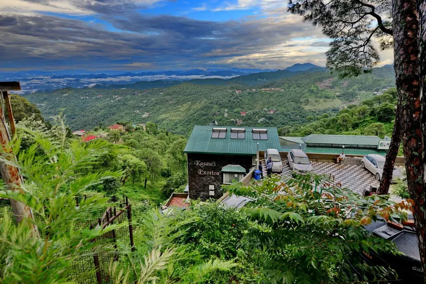 Kasauli Exotica - Image 1