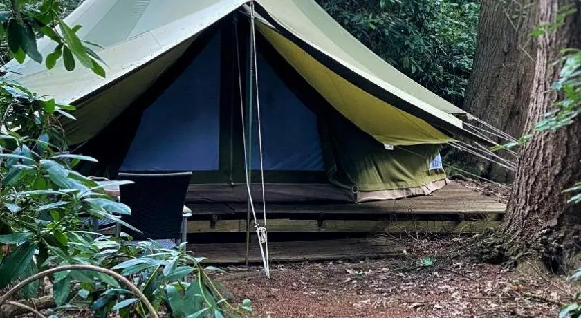 SENSI - glampingtenten midden in de bossen - Image 1