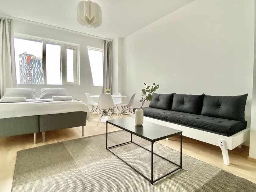 City Home Finland Arena Studio - Perfect location in Downtown of Tampere and Great Amenities - Image 1