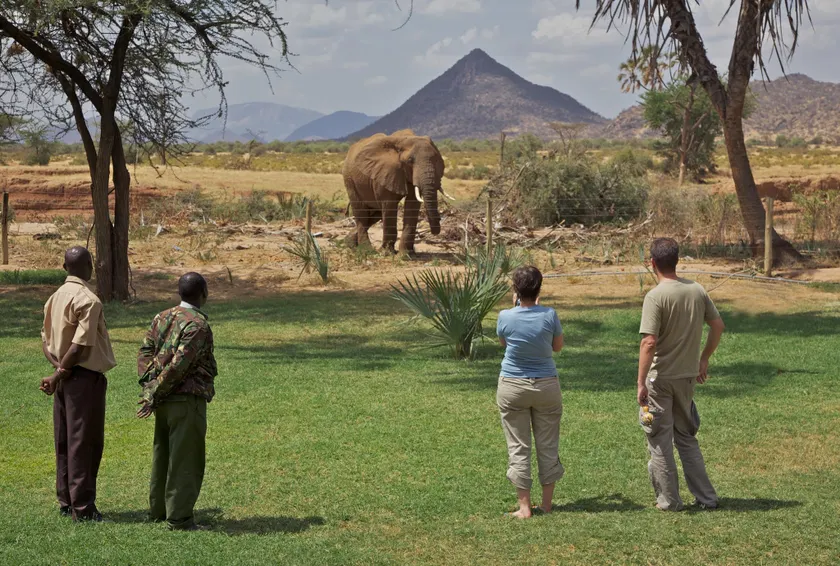 Ashnil Samburu Camp - Image 1